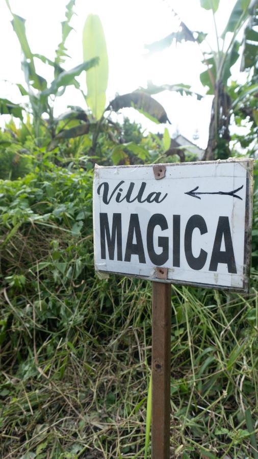 Villa Magica Убуд Екстер'єр фото